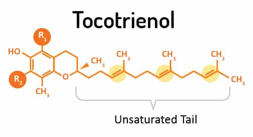 Tocotrienols có ảnh hưởng đến sức khỏe tim mạch hay không?
