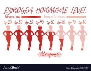 Estrogen Hormone ɭà gì