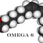 omega-6-la-gi-0