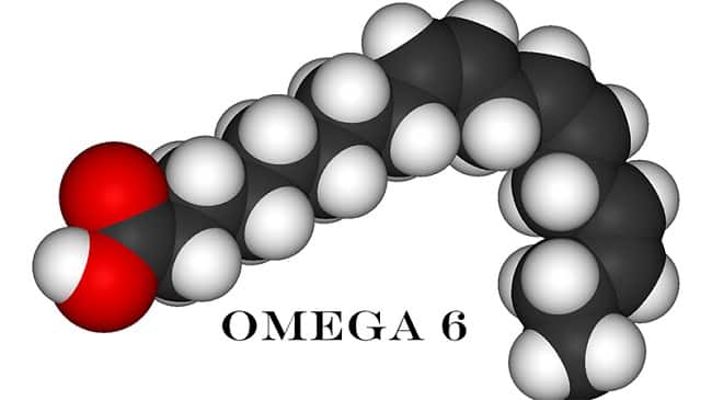 omega-6-la-gi-0