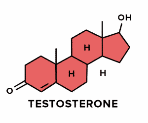 testosterone-la-gi-0