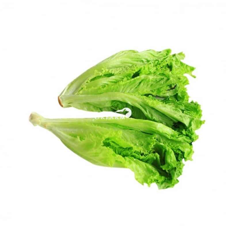 thuc-pham-giau-acid-folic-0