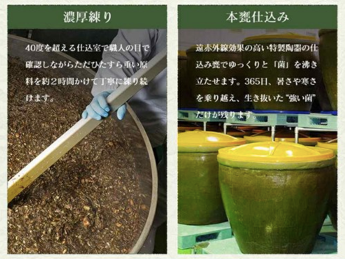 enzyme-seedcom-0