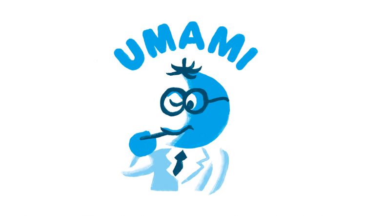 Vị umami là gì?
