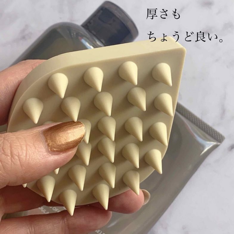Lược gội đầu của Nhật 2021 2022