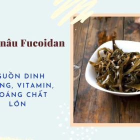Những bí mật về tảo nâu fucoidan Nhật nội địa mà bạn chưa biết đến