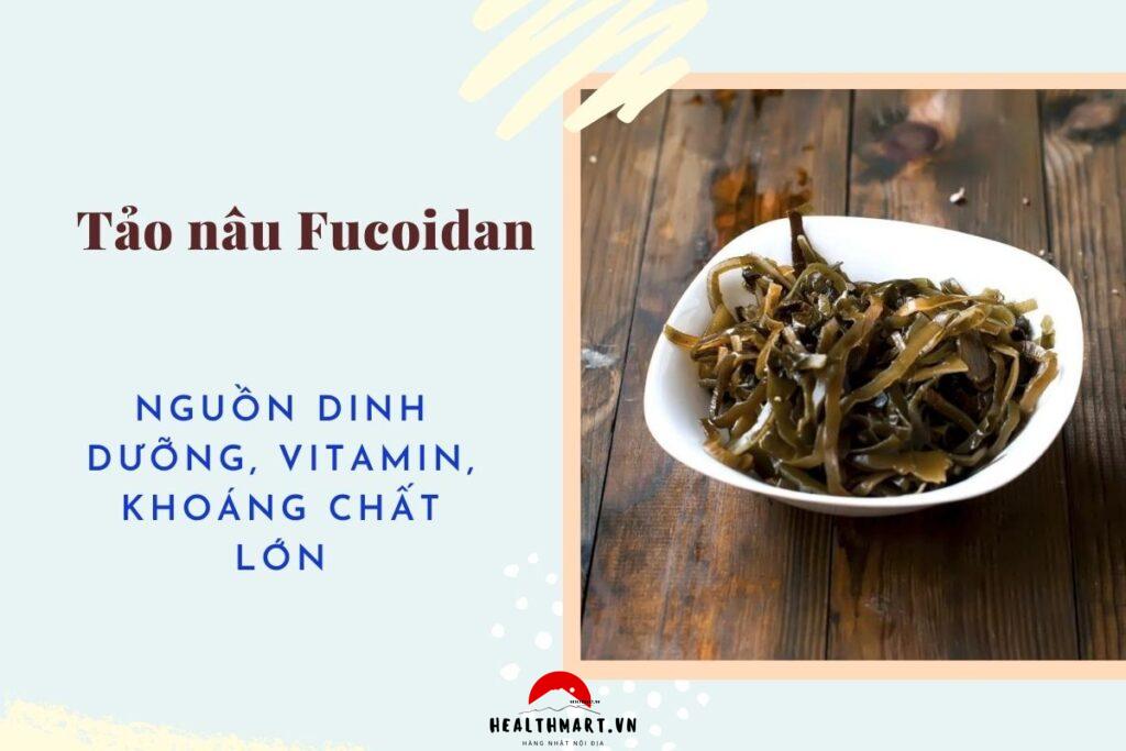 Những bí mật về tảo nâu fucoidan Nhật nội địa mà bạn chưa biết đến