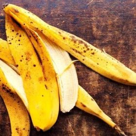 Banana Peels Use Garden F 11302016 1.jpg