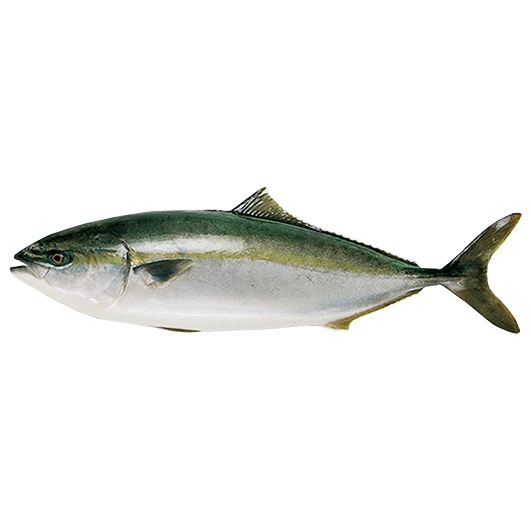 Hamachi 1