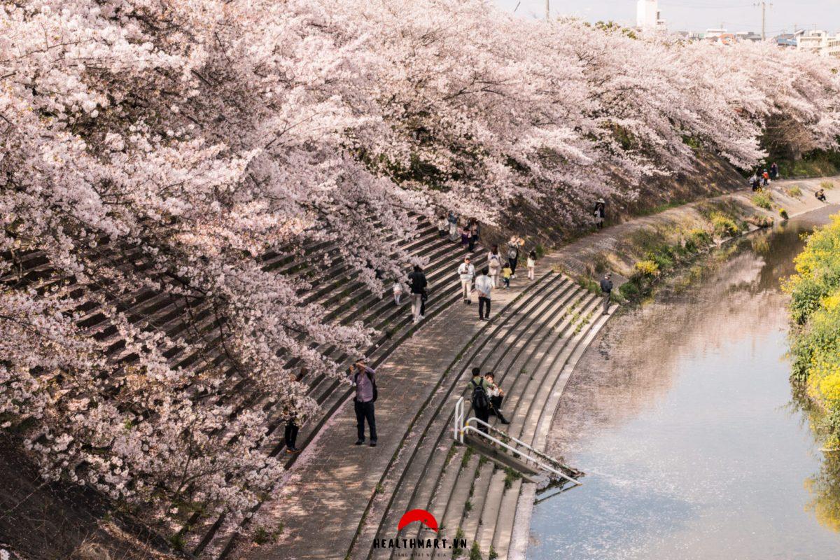 Cac Benh Vien Cho Nguoi Nuoc Ngoai O Nagoya Kinh Nghiem Kham Benh
