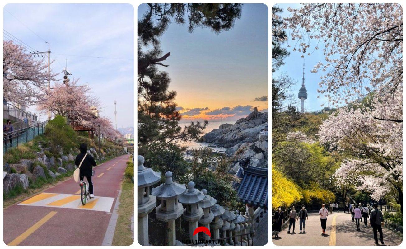 Japan 12