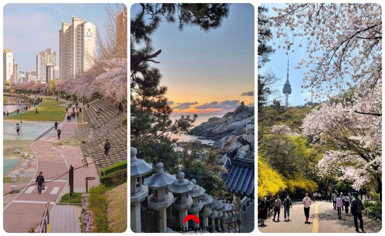 Japan 13