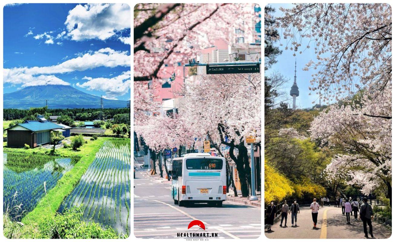 Japan 16