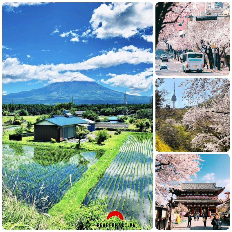Japan 17