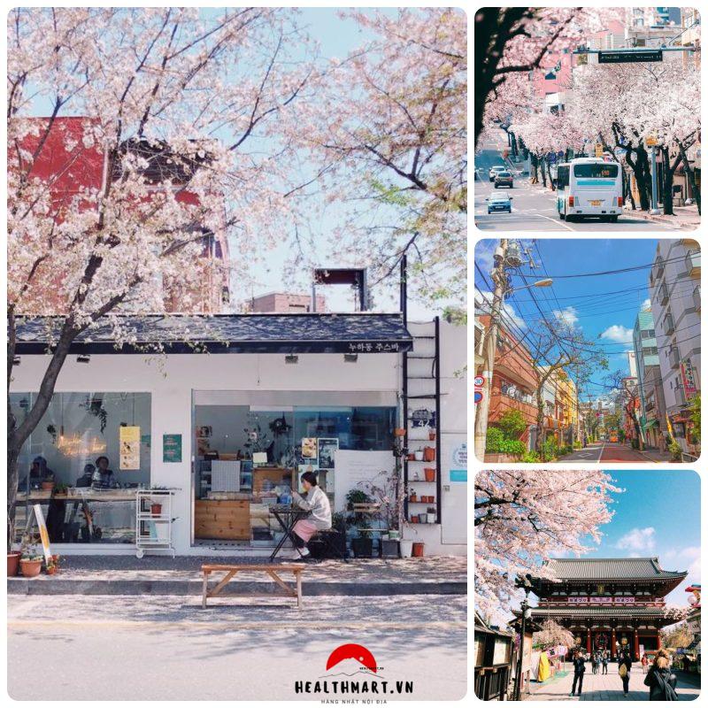 Japan 18